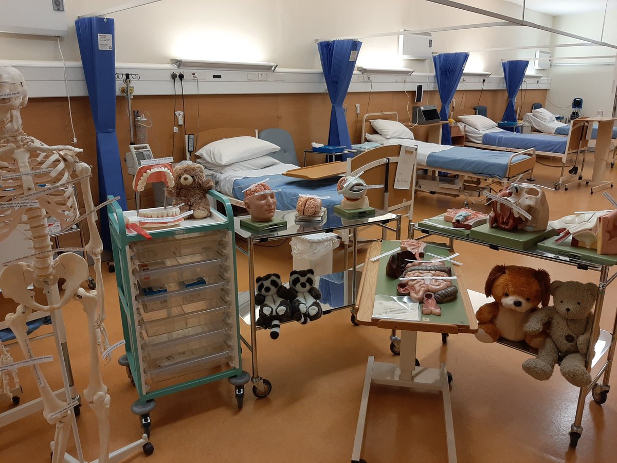 MayoGmit's tweet image. We are already, waiting and excited for some teddy bears to check in @GMITMayoCampus Teddy bear hospital Sunday 17th Nov @scienceirel @MayoDotIE @thecontel @MayoAdvert  @mayonewsliving @Alan_Dillon @MulherinFG @MichaelRingFG  @AllThingsMayo #lovemayocampus #ScienceWeek2019 #mayo