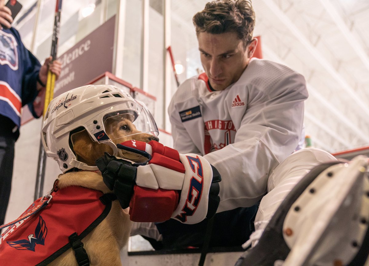CapsPup's tweet photo. garny gettin me gameday ready https://t.co/pBKNEnjo7A