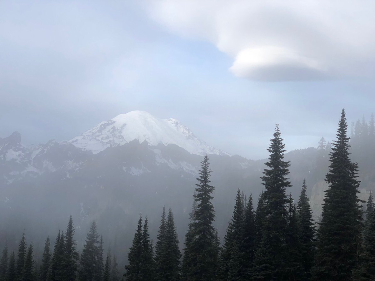 DonClotfelter's tweet photo. Fog rolling in and out most of yesterday at Tipsoo Lake, Mount Rainier National Park 🏔🌫☁️ #tipsoo #nachesloop #sr410 @ShannonODKOMO @ErinMayovsky @WeLoveWeather @CascadeDistrict @DaveWelldigger @NWSSeattle #lenticular #fog #pnw @wsdot_tacoma https://t.co/gb2gI2OuA4
