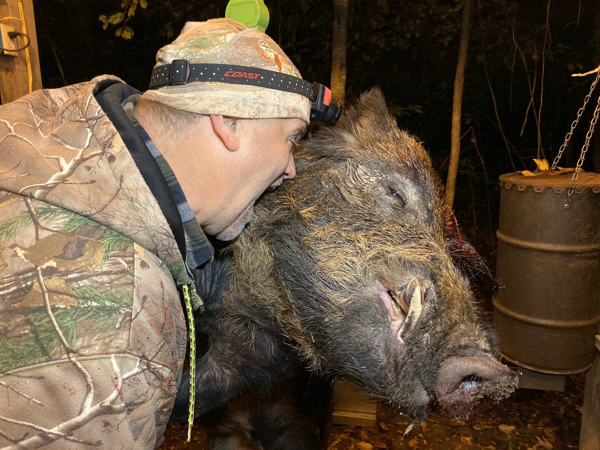 NiteSiteAmerica's tweet photo. Wild Bill has been out hunting/biting boars again.
Anyone else going hog hunting this weekend?
#nitesiteamerica #hunting #hoghunting #texashoghunting #rooterdown #rootershooter #nightvision #optics https://t.co/YeyqkooXsV