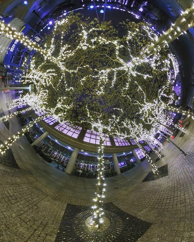 Brookfield Place - NYC
.
.
.

#Lights #trees
#360camera #360photography #insta360evo #360life #lifein360 #360everyday #everyday360 
#inverted360 #invertedplanet #insta360 #insta360evo ift.tt/379qtmv