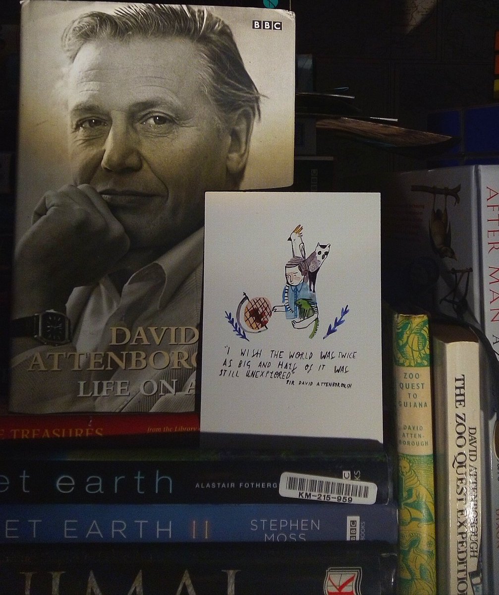 WilJackson7's tweet image. #FridayMotivation for thinking of new nature stories 🌿certainly helps with my shrine of #davidattenborough ! 

#writing #nature #SevenWorldsOnePlanet #wildlife