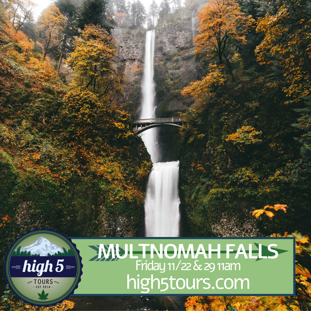 Join us for our favorite season at Multnomah Falls on 11/22 and 11/29. Roll out of bed after your big turkey feast with a few buds and hop on the #YellowPotBus! 🚌🌿💨😁 ow.ly/H0xH30pTcdi