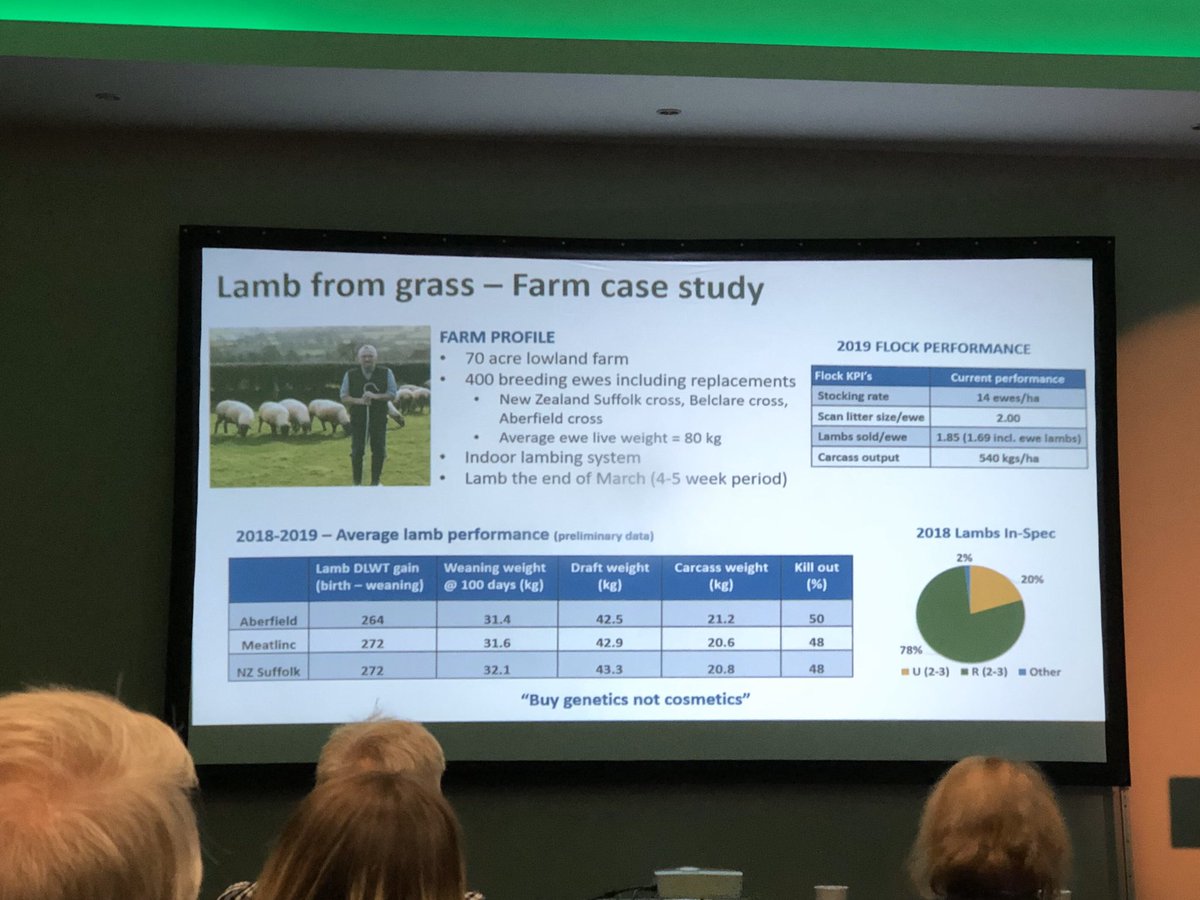 ColdrochieEG's tweet photo. Liz Earle from Agrisearch in NI giving levy board update at #SBRT19. Some great results from on farm project but of note is good killing out % of Aberfield sired lambs #maternalgenetics 👍 https://t.co/zhAIAqKXl9