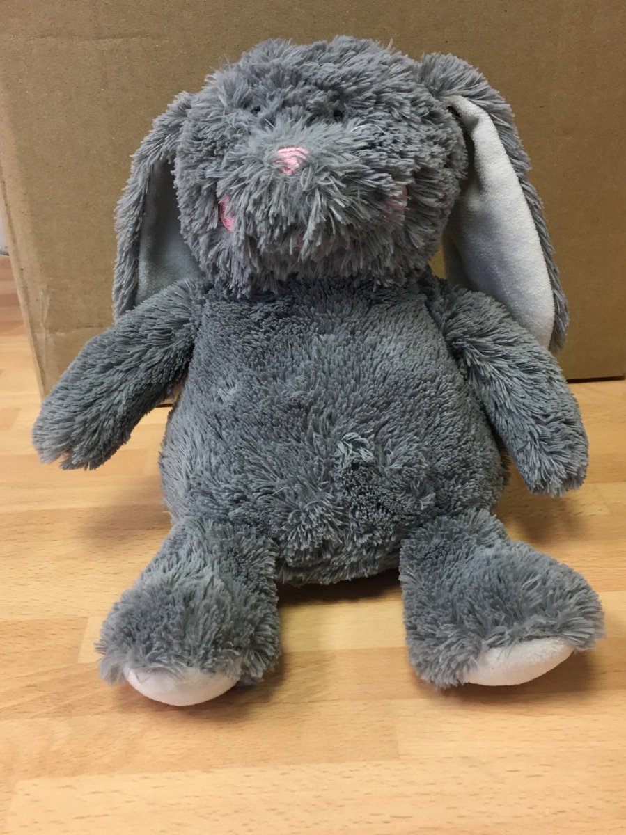 StEdwardsColl's tweet photo. Found after the Year 11 Parent/Teacher meeting on Wednesday - a much loved little bunny! Please contact 0151 281 1999 if it is yours https://t.co/1SSDCaRGE4
