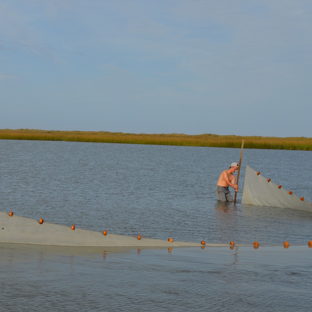 WatershedSem's tweet image. Congratulations to CWS2 student Rion for moving assembly on transgender day of remembrance! It's always exciting to see our students moving boldly in their communities to drive change.  #leaderbyexample
#watershedsemester 
#leadershipwalks 
#learnoutside