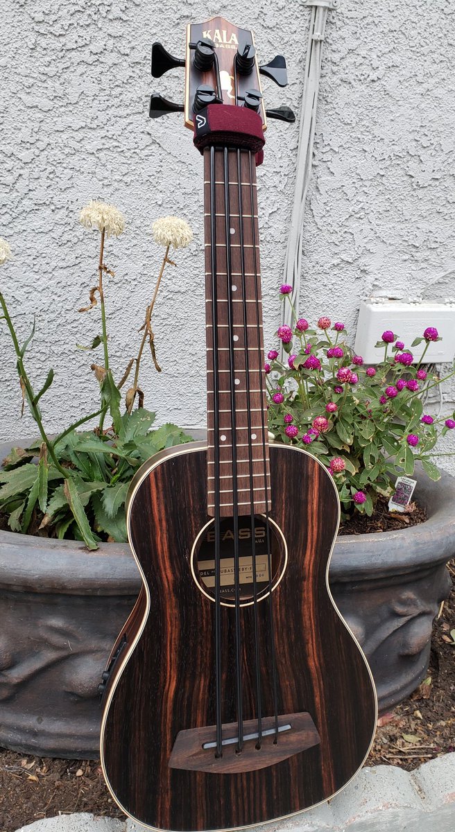 FinancialMusic's tweet image. What incredible artists at #solobassnight VII last night! Thanks @normstockton for the invite and for playing. And I was blessed to win this amazing bass - wow!! Grateful to @kalabrandmusic and @gruvgear for supporting this event.