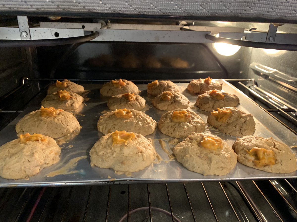 Lynnear3's tweet image. Field and natural history students spent the morning harvesting persimmon fruits from Campus and making persimmon cookies from the pulp! #prinprogress