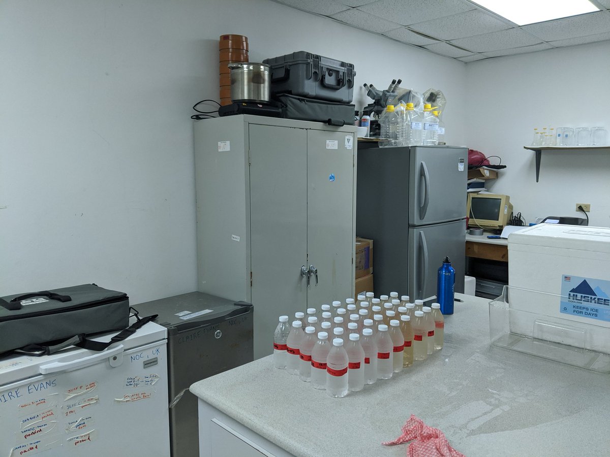 🇧🇿 Belize GEO 🛰️ tweet media