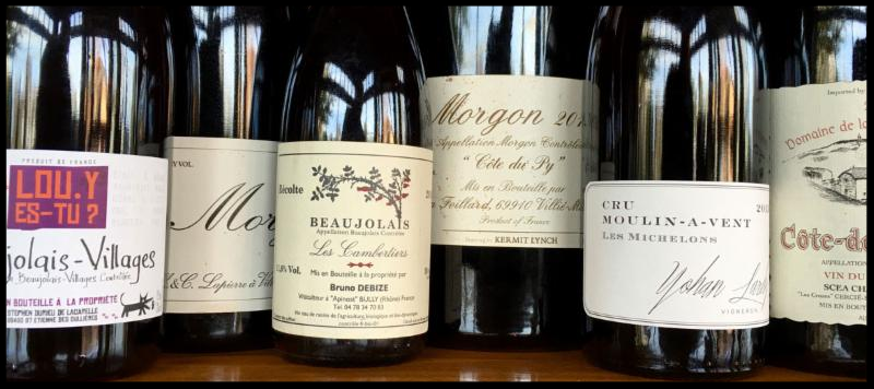 bar avignon tweet media