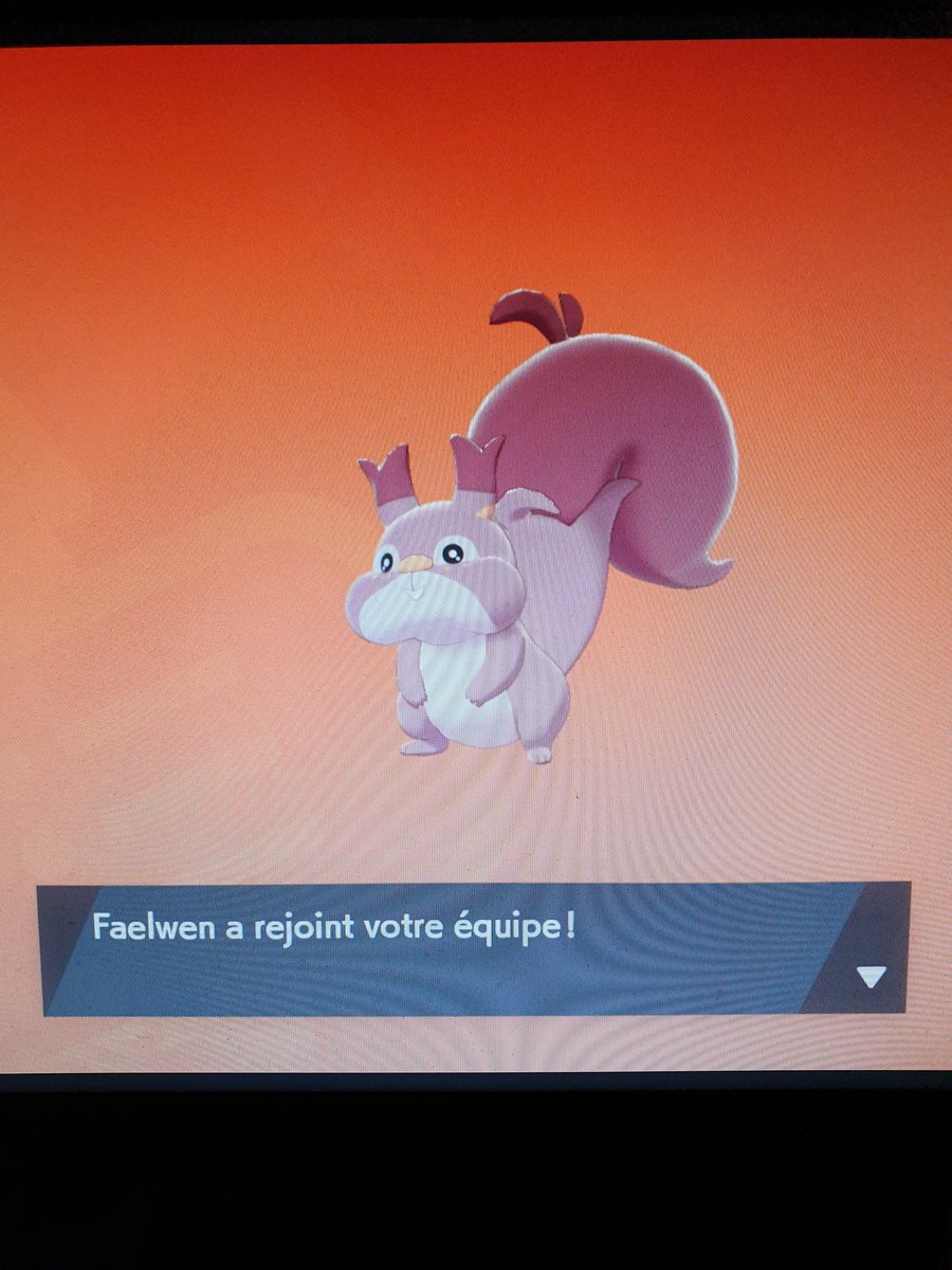 papy_mougot's tweet photo. 2e pokemon capturable, et déjà un shiny. La proba de trouver un shiny est donc de 1/2. Prouvé scientifiquement ! #PokemonSwordShield #PokemonEpeeBouclier https://t.co/9cJ9mg1HCa