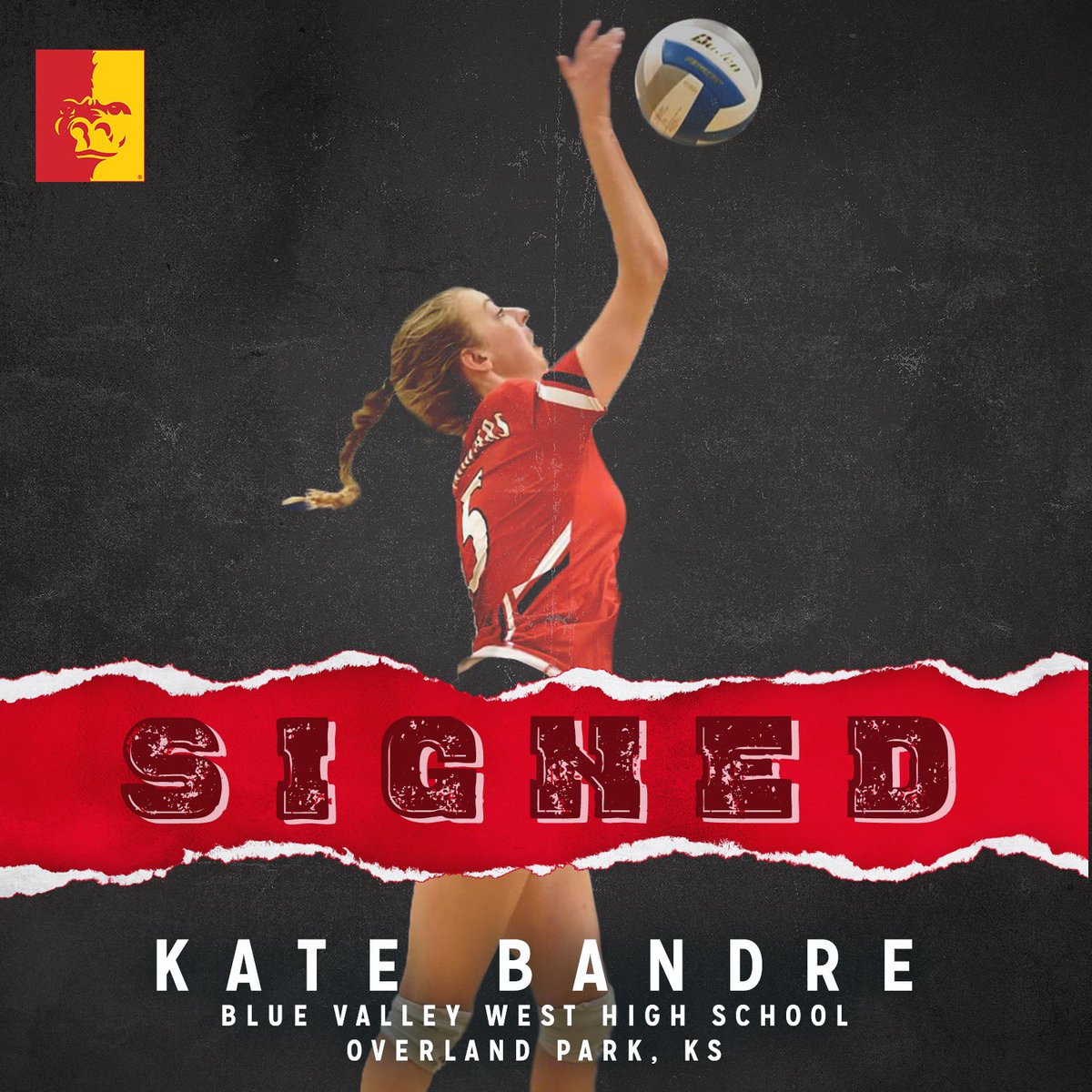 GorillasVB's tweet photo. Welcome @KateBandre to the Gorilla Family #GorillaNation https://t.co/UGHFYlmn3O