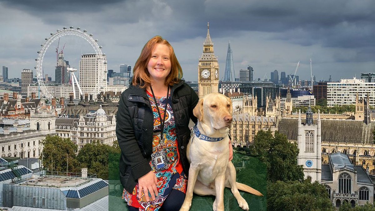 Hans Herr Elementary tweet media