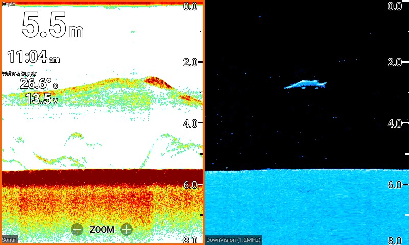 #FishFinderFriday! This image comes to us from Jimmy Sterling in Australia and shows a barramundi clear as day. What have you seen on your #Raymarine lately?