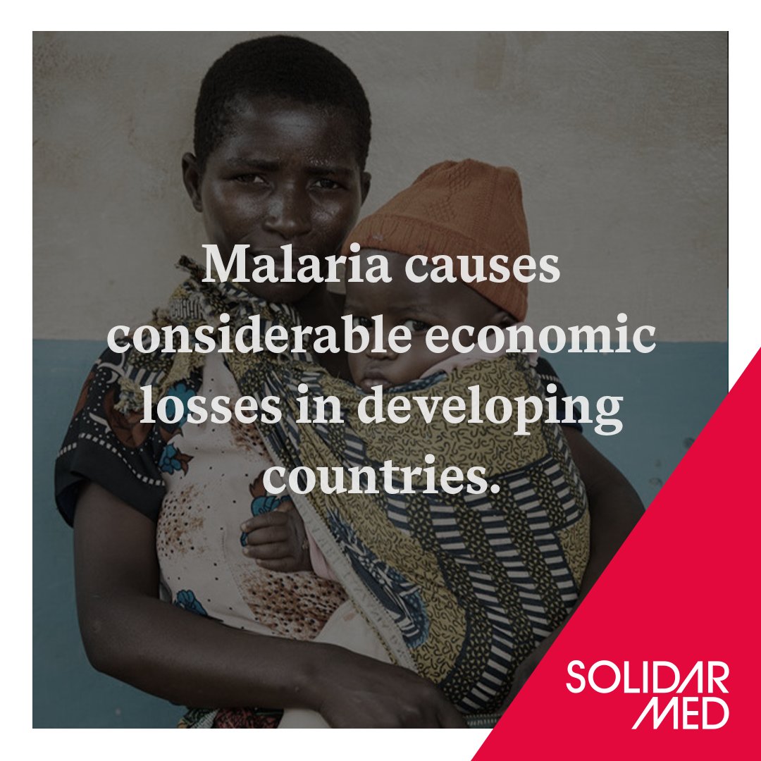 SolidarMed's tweet photo. #1goal1mission #healthforall #health #africa #solidarmed #aid #aidorganisation #support #gesundheit #afrika #hilfe #hilfsorganisation #Unterstützung #solidarität #solidarity #malaria #mosquito #wirtschaft #economy https://t.co/UD1AD9v1Lc