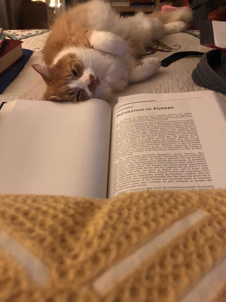 CCal's tweet photo. Studying con law and watching it in real time @crookedmedia @PodSaveAmerica #intermissionpets https://t.co/12N7MZ5y1V
