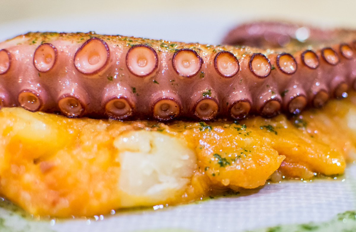 Tenemos mucho platos nuevos en La Gastro. Te lo vas a perder? 
#lagastro #lagastrodechema #chemasoler #tapasmadrid #pulpo #croquetas