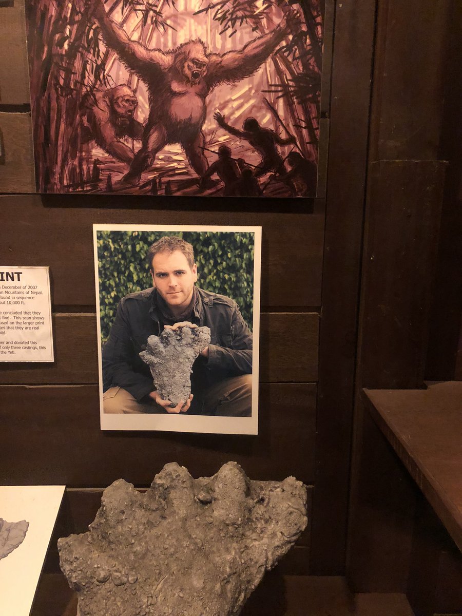 PullmansOwn's tweet image. At Expedition Everest at #DisneyWorld and look who I found. @joshuagates @ExpeditionUNK The camera adds 15 years.