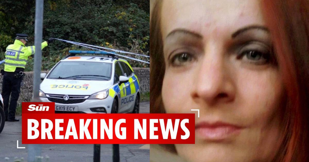 TheSun's tweet image. First picture of woman whose body was found dumped in a wheelie bin as cops arrest a 2nd man on suspicion of murder thesun.co.uk/news/10356325/…