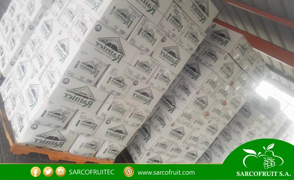 Sarcofruitec's tweet photo. ¡Sarcofruit piensa en ti!

Estamos abasteciendonos de los mejores productos y de mejor calidad de Francia, con la finalidad de traer fruta para cientos de familias ecuatorianas, ya que ellos se merecen lo mejor. #YoSoySarcofruit https://t.co/aq5V780Be0