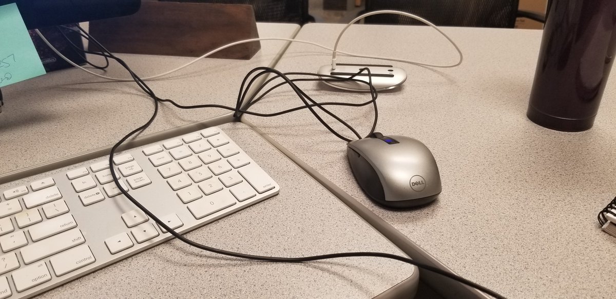 Emily Lowther tweet media