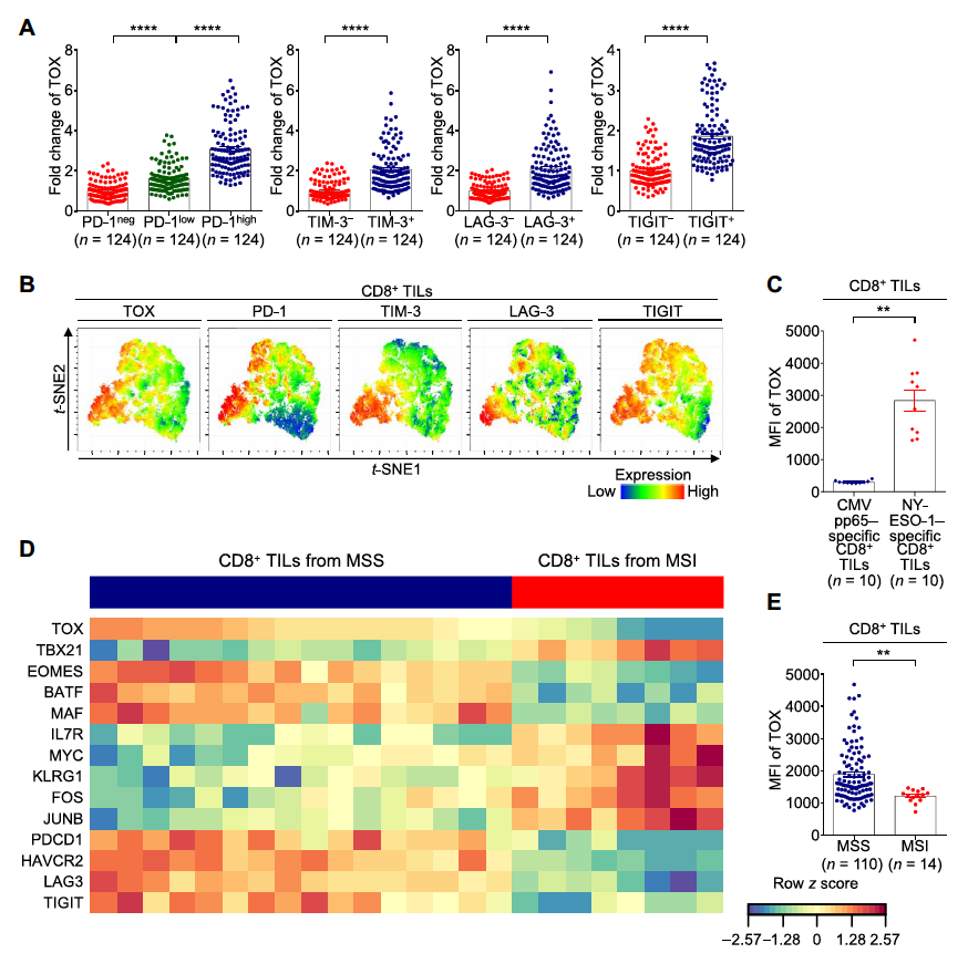 Zihai Li, MD, PhD tweet media
