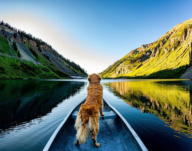 Adventures with furry friends 🐶 <a href="/shortlyamused/">Andrew Muse</a>