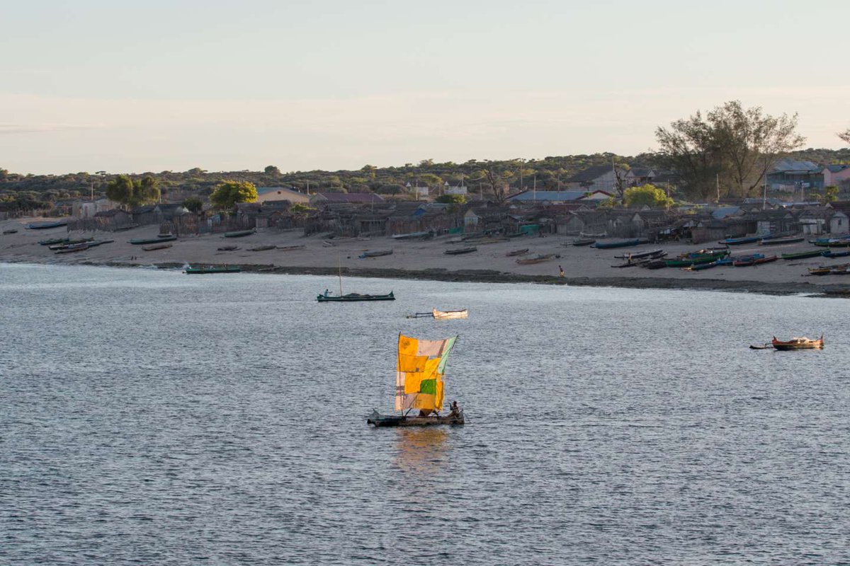 BlueVentures's tweet photo. Do you have a passion for conservation communication?
We're looking for a Digital Communications Officer, a full-time permanent role based in our London or Bristol offices. Apply by November 30th! #ConservationCommunications @WiseOceans 
https://t.co/njx6HciYRJ https://t.co/GdQ2GiwHmg