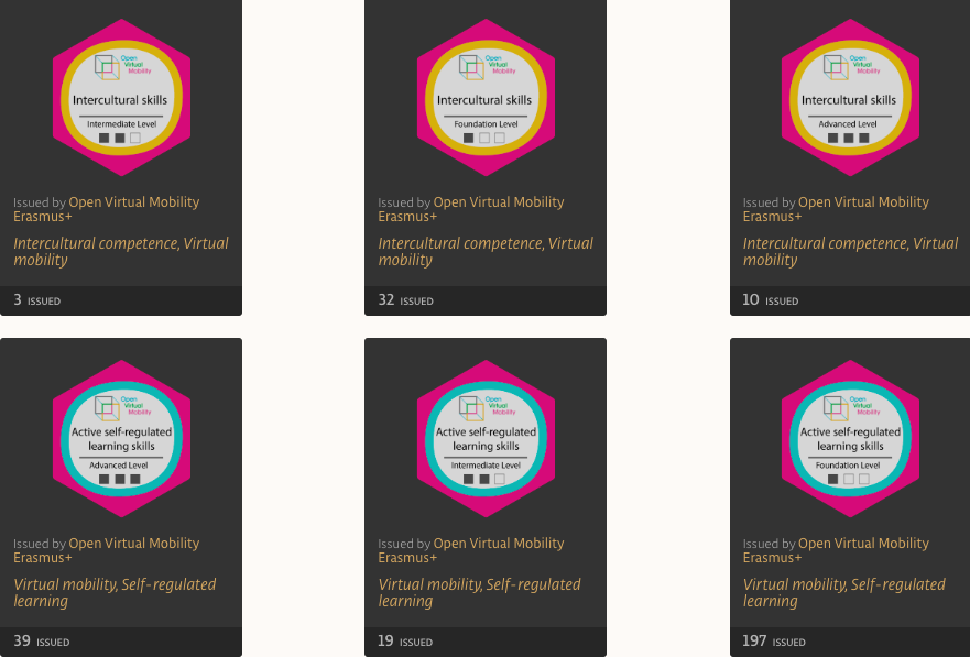 See all our #OpenBadges on the <a href="/joinBestr/">Bestr</a> site bestr.it/project/show/1…