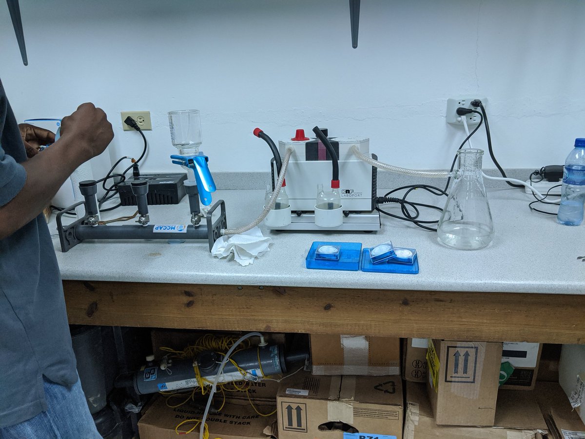 🇧🇿 Belize GEO 🛰️ tweet media