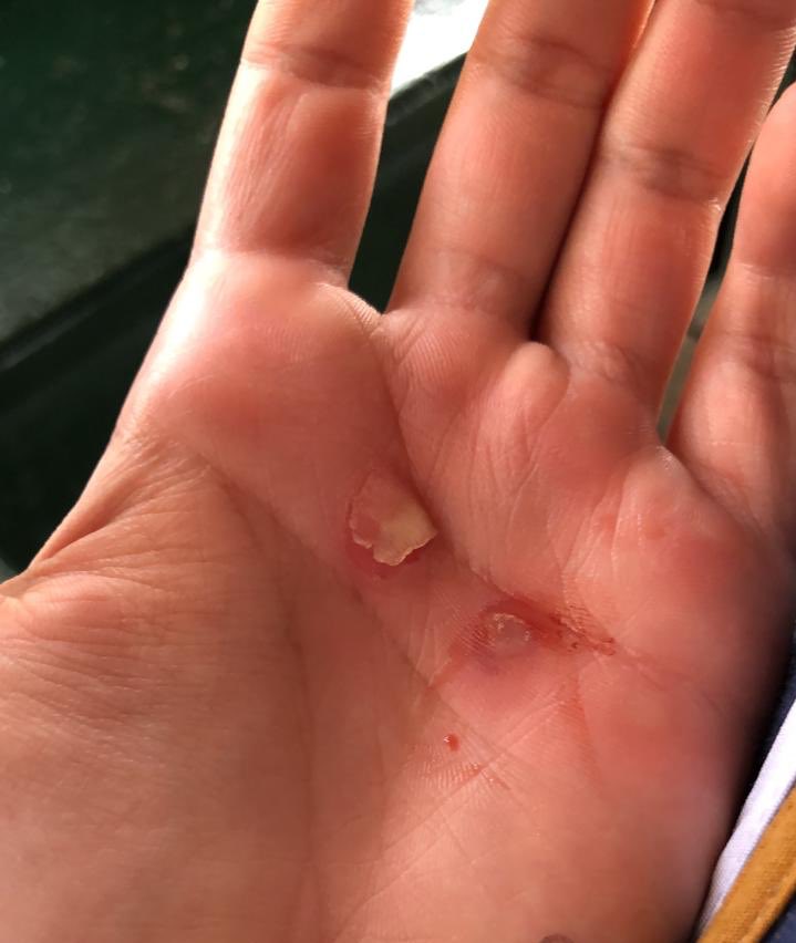 sofipalauwake's tweet image. Trabajo pesado ! Hard work ! Por mi departamento todo! Vamos con toda para juegos nacionales  @bolivar_2019  #AntioquiaTeLlevoEnElAlma @IndeportesAnt @OlimpicoCol @Orios8 @MinDeporteCol @PanamSports