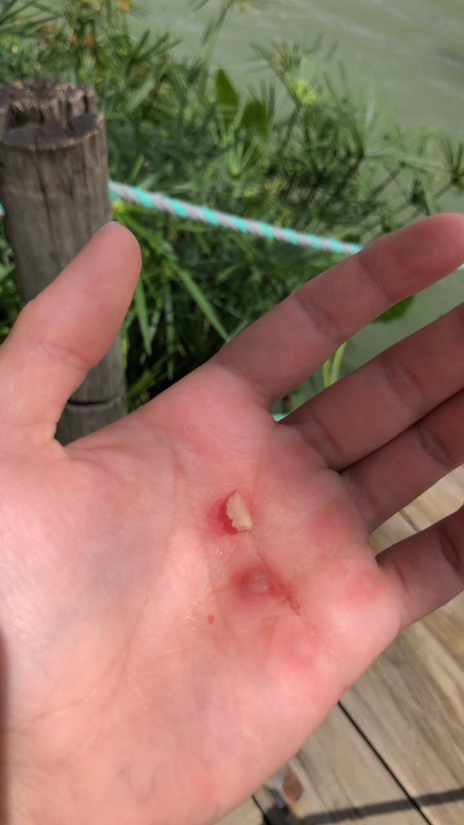 sofipalauwake's tweet image. Trabajo pesado ! Hard work ! Por mi departamento todo! Vamos con toda para juegos nacionales  @bolivar_2019  #AntioquiaTeLlevoEnElAlma @IndeportesAnt @OlimpicoCol @Orios8 @MinDeporteCol @PanamSports