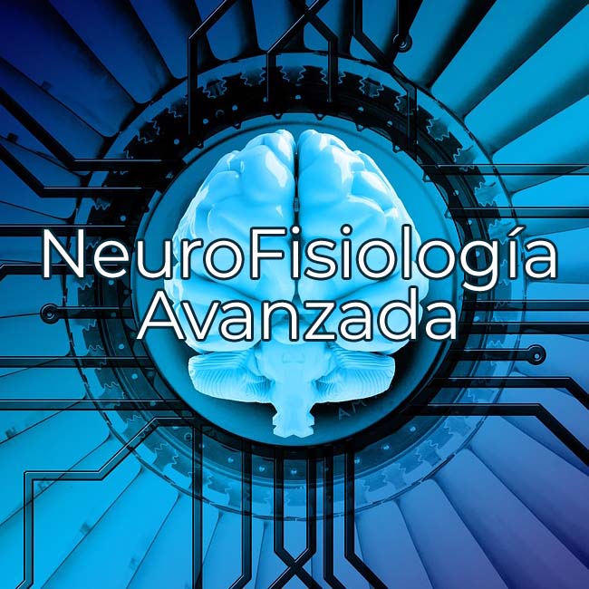 Curso de NeuroFisiología Avanzada impartido por Enrique Velasco Serna para el 28 y 29 de febrero 2020

inbiotem.com/2019/10/22/cur…

Apúntate YA! que las plazas se agotan rápido ... Más info en inbiotem.com