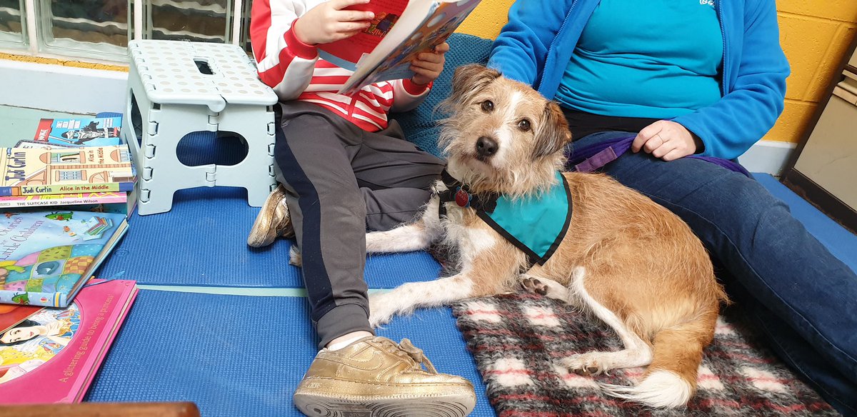 We also had our first visit from Ollie the reading dog
