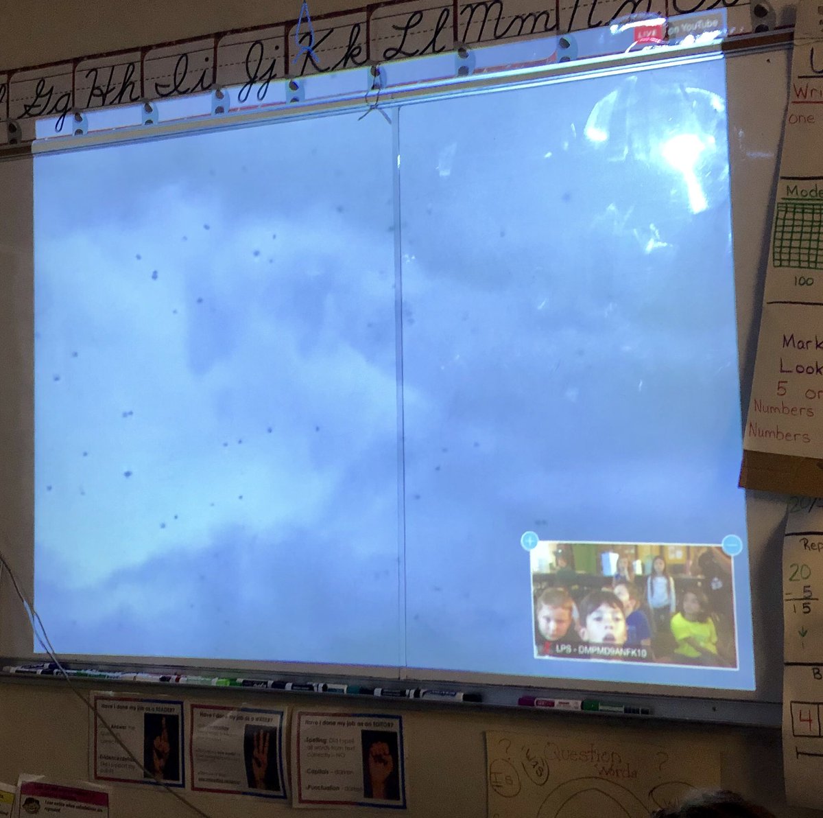 kellyzoucha's tweet photo. Traveled by Skype to Zambia, Africa at dusk! They have the largest migration of mammals, about 10 million fruit bats migrate to Kasanka National Park during Oct-Dec.#ExploreClassroom @NatGeoEducation @animaltracking #celebratelps @citrusschools https://t.co/6RmR7dFVfe