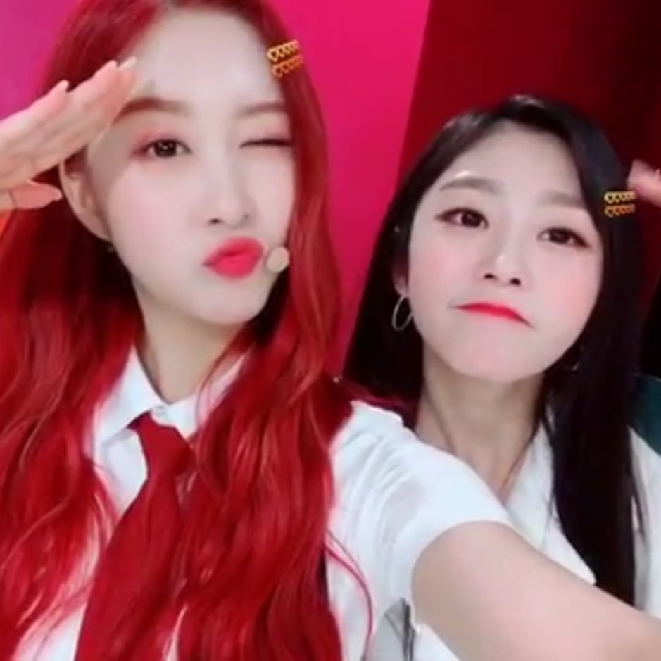 ʚ jisoo with wjsn' dayoung ɞ