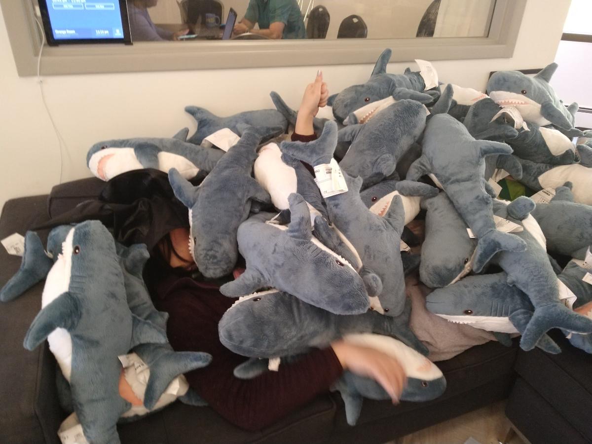 i’m just gonna leave these on the couch at  @indyhall until i figure out what to actually do with them; so you too can work/jump/relax with my many shark children! 