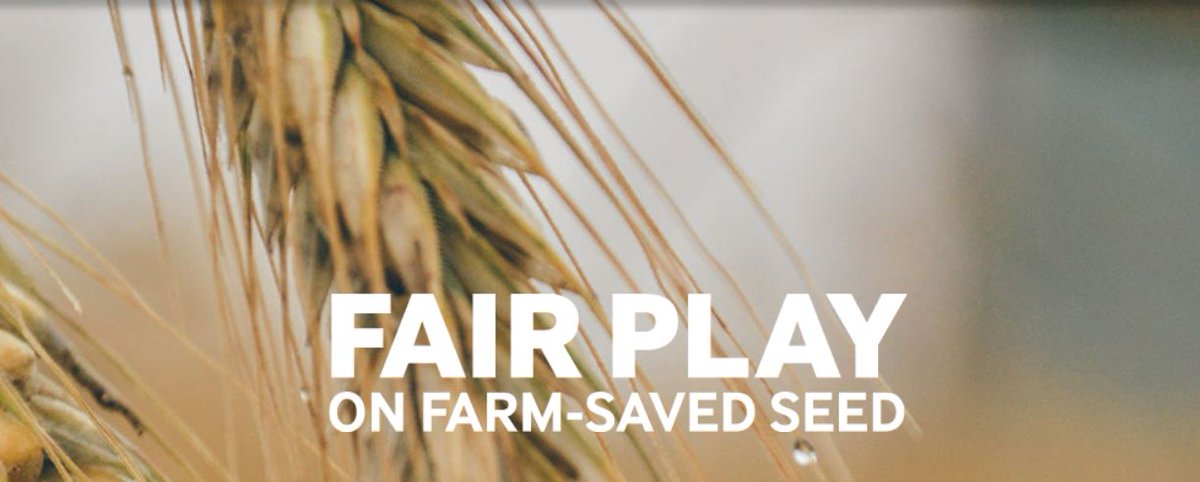 _seedinnovation's tweet photo. The autumn farm-saved seed collection is open - you can declare and pay online quickly and easily at https://t.co/I3byYrIGKg 
#fairplayonfss #promotinginnovation #plantbreeding https://t.co/LCT0XJq65V