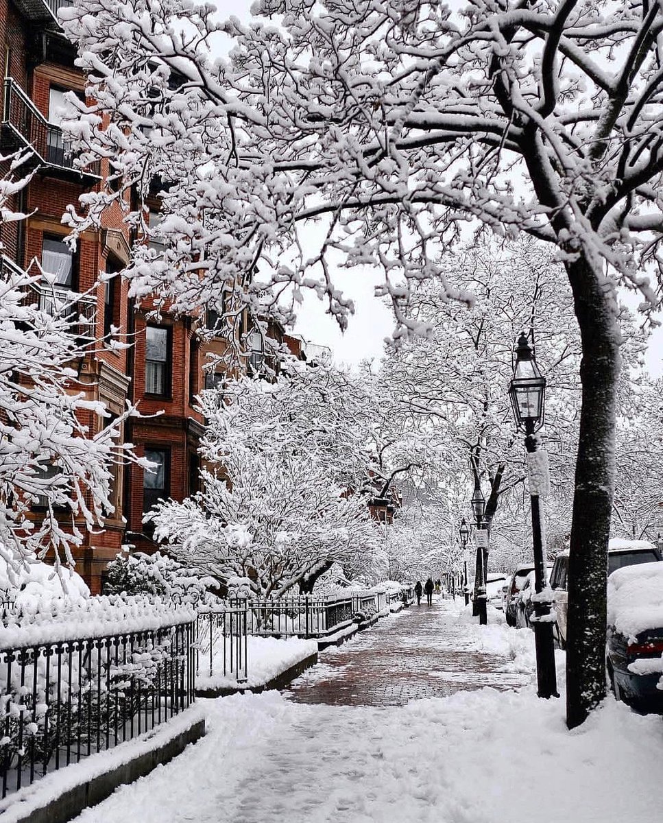 VIP Ontario Tours tweet media