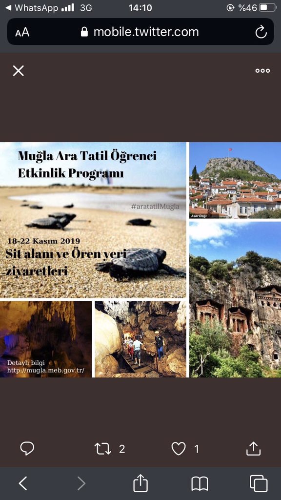 mgkulcuao's tweet photo. 18-22 Kasım #aratatilMugla https://t.co/oHnFKHoISc