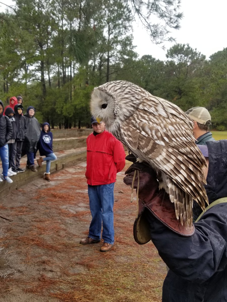 ZooBotLMS's tweet photo. The weather could have been better but we still enjoyed our field study to @SCBirdsofPrey. #conservation #wehaveoneEarth #raptors @LongleafMiddle @leap_principal https://t.co/zF6J0PVUXD