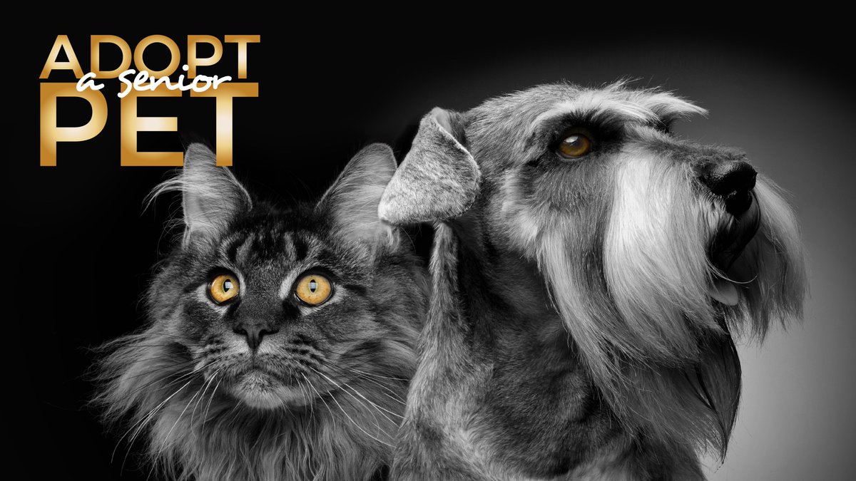 PetPartnersLLC tweet media