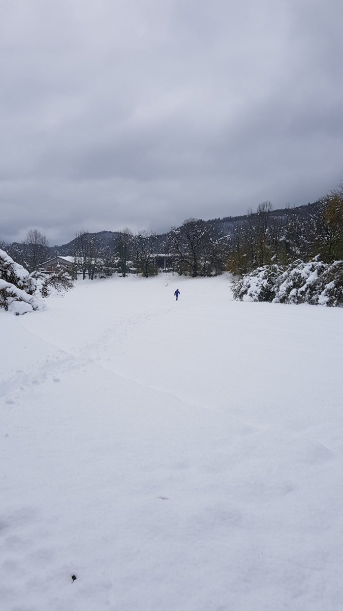 edistribuzione's tweet image. 🔴Aggiornamento maltempo Piemonte. Nelle province di Verbano-Cusio-Ossola, Torino e Cuneo, oltre 500 persone tra operativi, tecnici e personale di impresa sono al lavoro per fronteggiare le conseguenze dell'ondata di maltempo. Qui tutti gli aggiornamenti 👉bit.ly/EDistribuzione…
