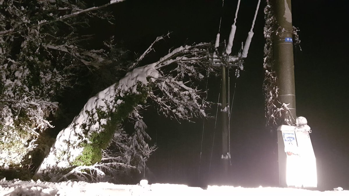 edistribuzione's tweet image. 🔴Aggiornamento maltempo Piemonte. Nelle province di Verbano-Cusio-Ossola, Torino e Cuneo, oltre 500 persone tra operativi, tecnici e personale di impresa sono al lavoro per fronteggiare le conseguenze dell'ondata di maltempo. Qui tutti gli aggiornamenti 👉bit.ly/EDistribuzione…