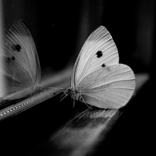 Just me by Johanna knauer