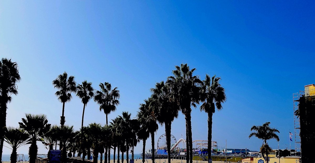 WirthPictures's tweet photo. Some views of the @SantaMonicaPier

#pier #ocean #beach #boardwalk #sand #surf #sky #pacific #landscape #palmtrees #palms #westcoast #amusementpark #ferriswheel #rollercoaster #photography #AFM2019 https://t.co/MMpMS9QbSx