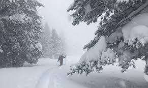 GrovelandHotel's tweet photo. Yosemite – A Winter Wonderland! https://t.co/xoBOJ4jx4g https://t.co/FBE0g7uSro
