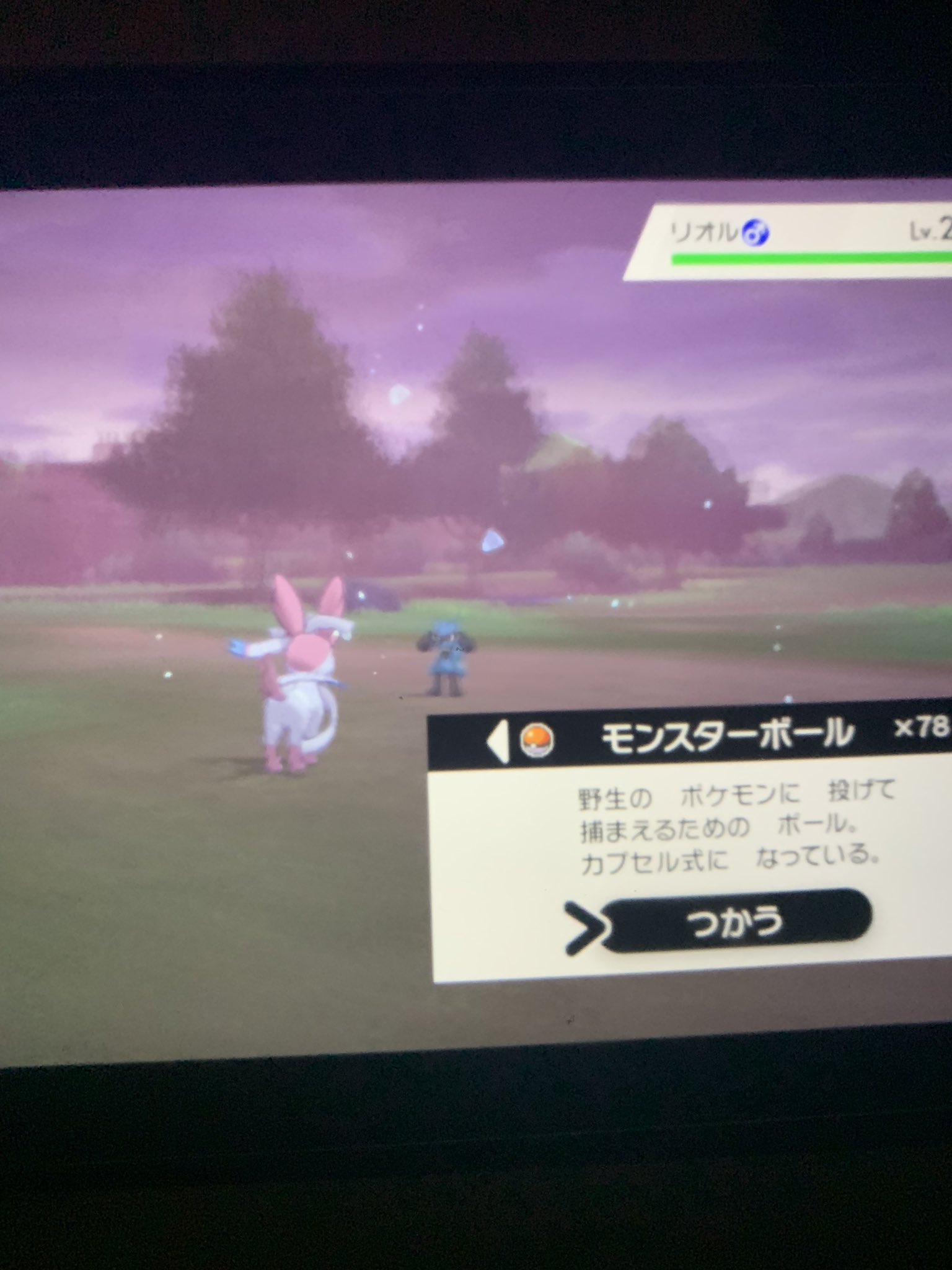 るなさん ワイルドエリアの巨人の帽子でリオル出ました 天候は吹雪です ソードシールド ポケモン剣盾 T Co Rybsbzq0nb Twitter
