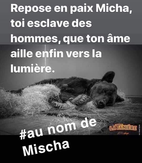 #aunomdemicha