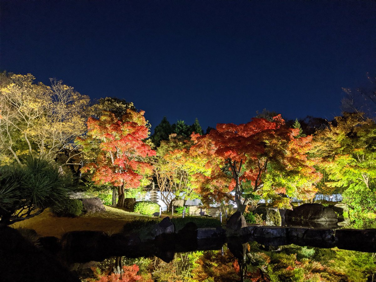 モリオ 公式 フォレスト不動産 V Twitter 紅葉会最高でした 紅葉会 姫路城